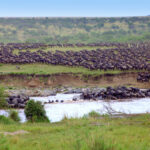 Masia Mara - Kenia